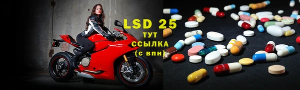 MESCALINE Аркадак
