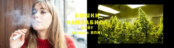 MESCALINE Аркадак