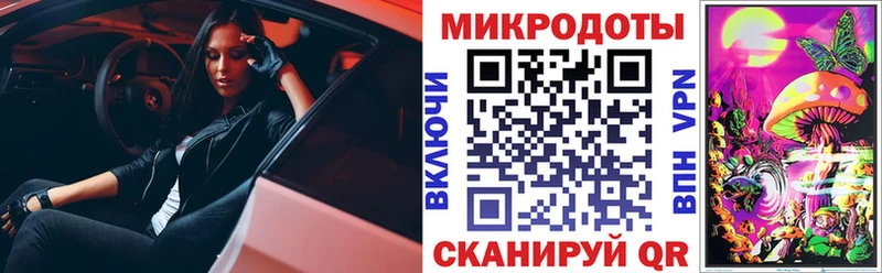сколько стоит  Саров  Псилоцибиновые грибы GOLDEN TEACHER 